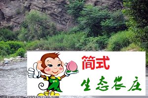 京北第一漂农家院流白河山川农家院