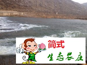 怀柔白河湾农家院