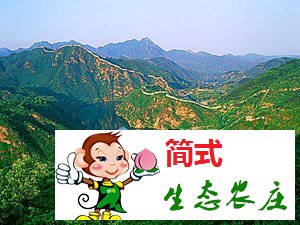 怀柔黄花城水长城农家院