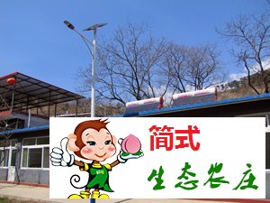 怀柔黄花城水长城农家院