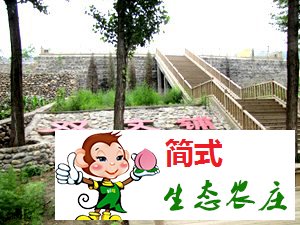 京北第一漂白河湾农家院